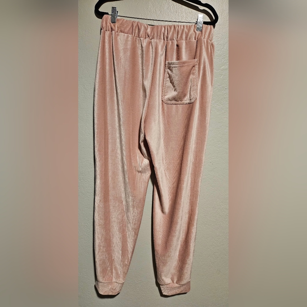 Truth by Republic Pink Velour Jogger Pants with Drawstring Waist Size Medium - Picture 7 of 14